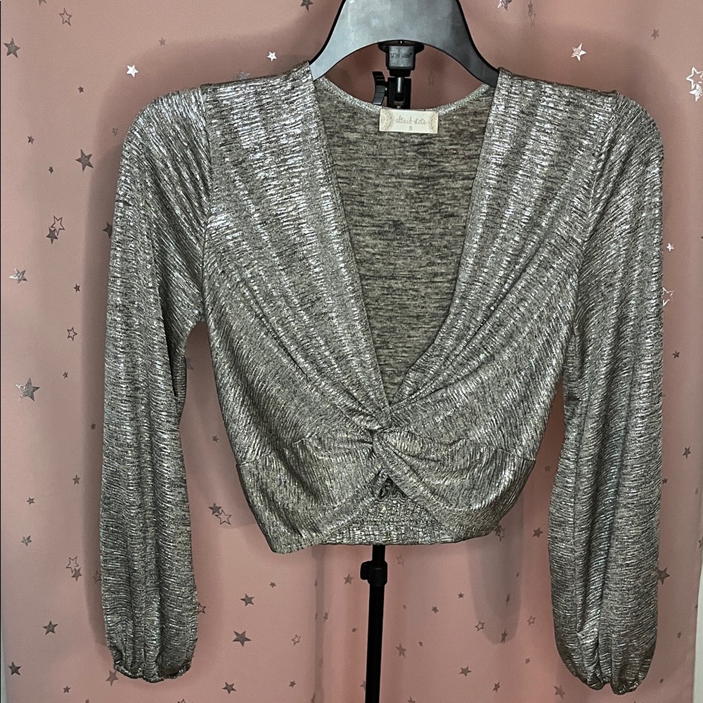 Altar'd State Metallic Silver Crop Top